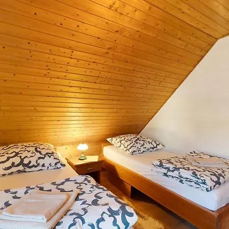 Schmalzgrube Holiday home Johstadt