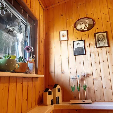 Schmalzgrube Holiday home Johstadt